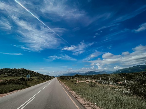 Sélectionner l'Huile Idéale pour Votre Voiture de Collection : Guide Complet et Pratique